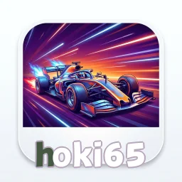 hoki65